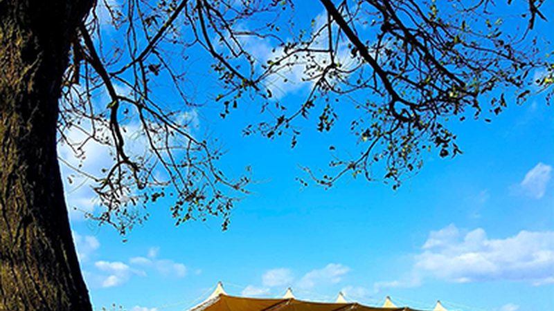 高精度柔性PCB板：揭秘其核心优势与应用场景**