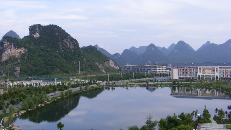 电子元件参数对比：揭秘如何精准选型**