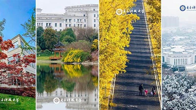 电子科技公司生产厂家直供，揭秘高效采购流程**